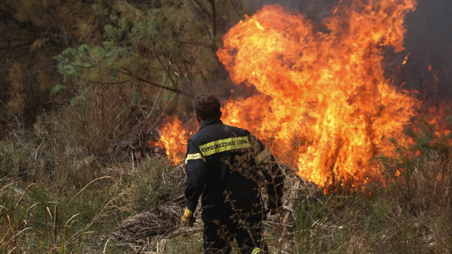 Εύβοια: Φωτιά τώρα στο παλιό χωριό στο Δύστο