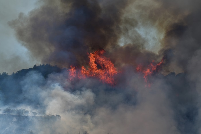 Κεραυνοί Ραγκούση: Μεγάλες ευθύνες της κυβέρνησης για τη φωτιά στις Κεχριές-Γιατί σίγησε το 112