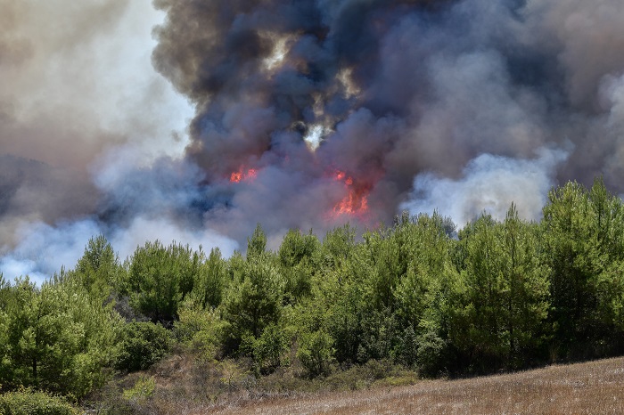Πολύ υψηλός ο κίνδυνος πυρκαγιάς την Τετάρτη σε επτά περιφέρειες