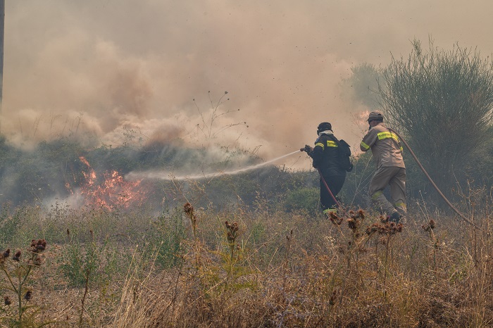Πυρκαγιά σε δασική έκταση στο Σουφλί