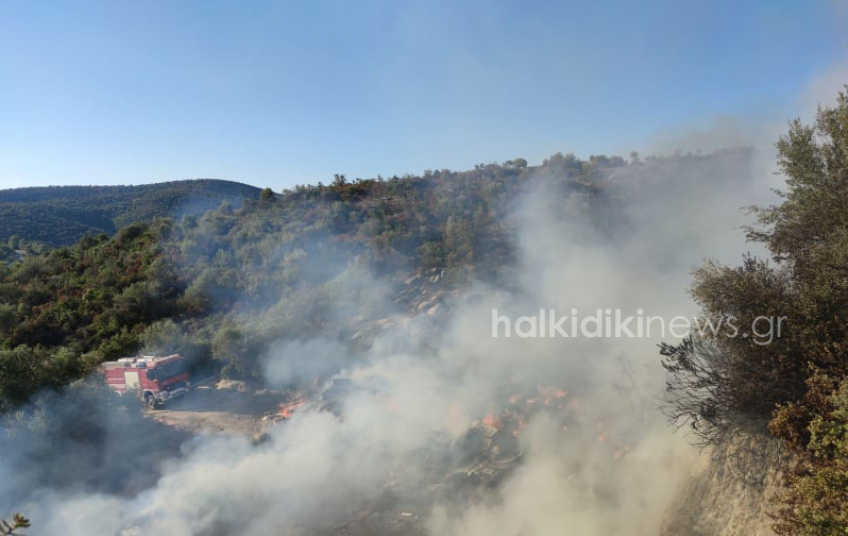 Πυρκαγιά στη Σιθωνία Χαλκιδικής (pics)
