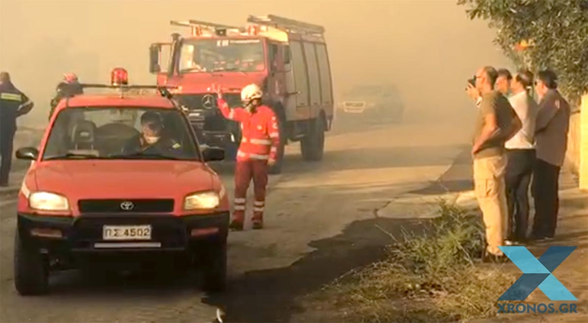 Ροδόπη: Εκκενώνεται οικισμός λόγω φωτιάς – Οι φλόγες έχουν φτάσει τα σπίτια