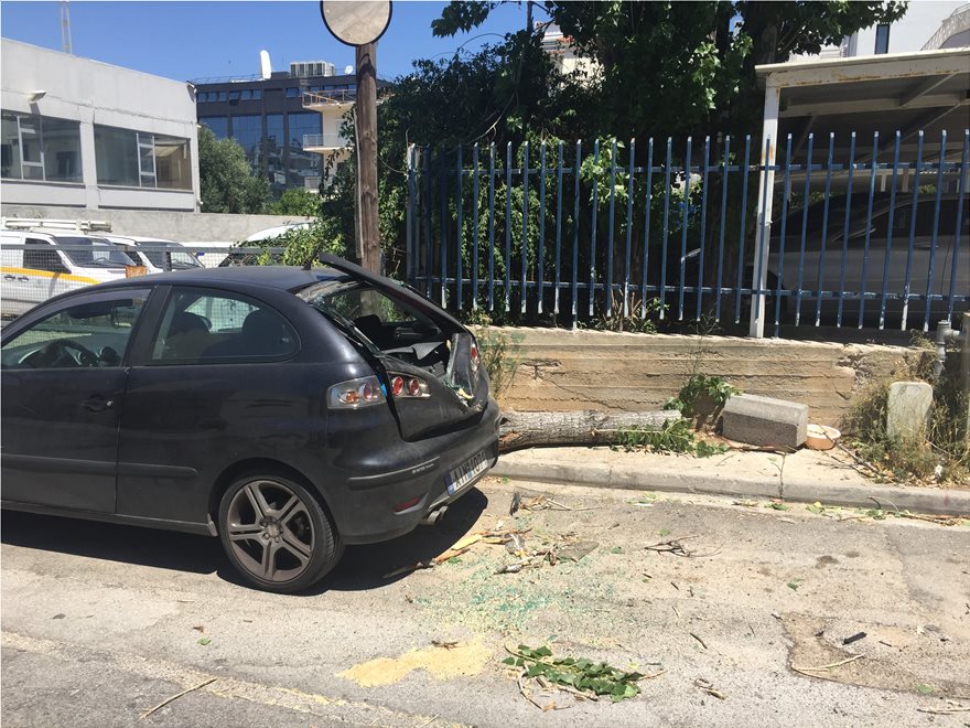 Δέντρο πλάκωσε αυτοκίνητο στο Μαρούσι εξαιτίας των ισχυρών ανέμων