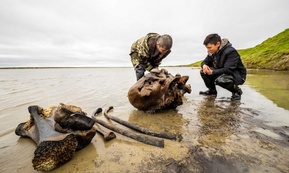 Σιβηρία: Ανακαλύφθηκαν λείψανα μαμούθ ηλικίας 10.000 ετών