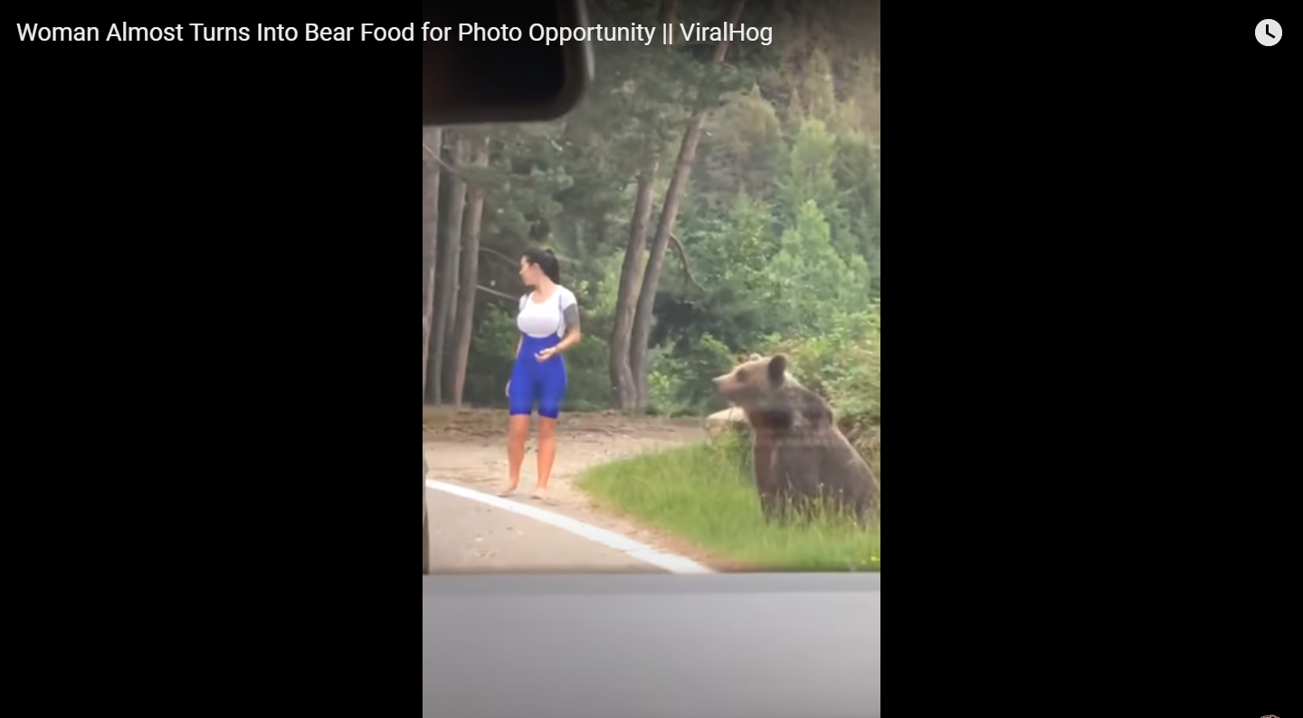 Η selfie με φόντο αρκούδα δεν είναι καλή ιδέα (vid)