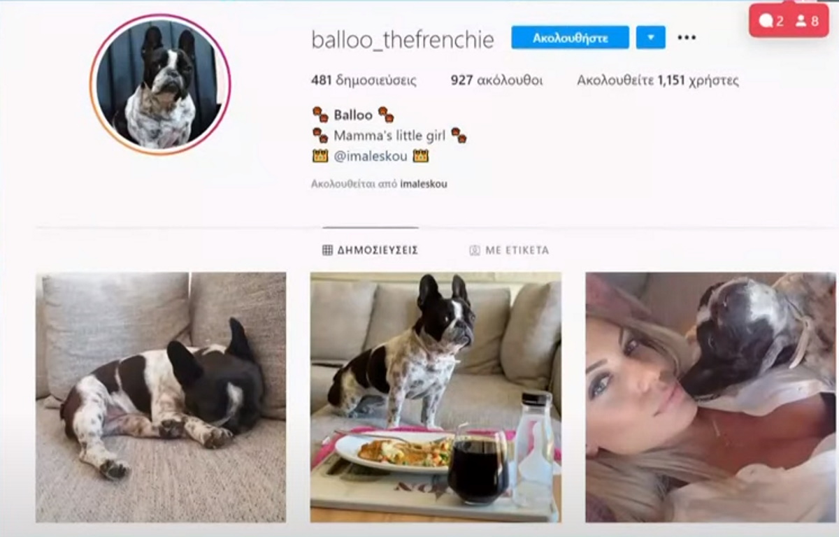 Μετανοείτε – Το σκυλί της Ιωάννας Μαλέσκου έχει δικό του Instagram! (video)