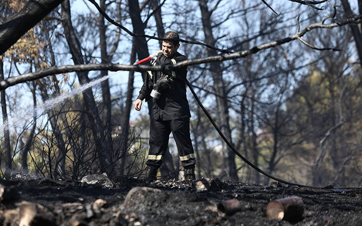 Φωτιά τώρα στο Πέραμα: Ισχυρή δύναμη της πυροσβεστικής στην περιοχή