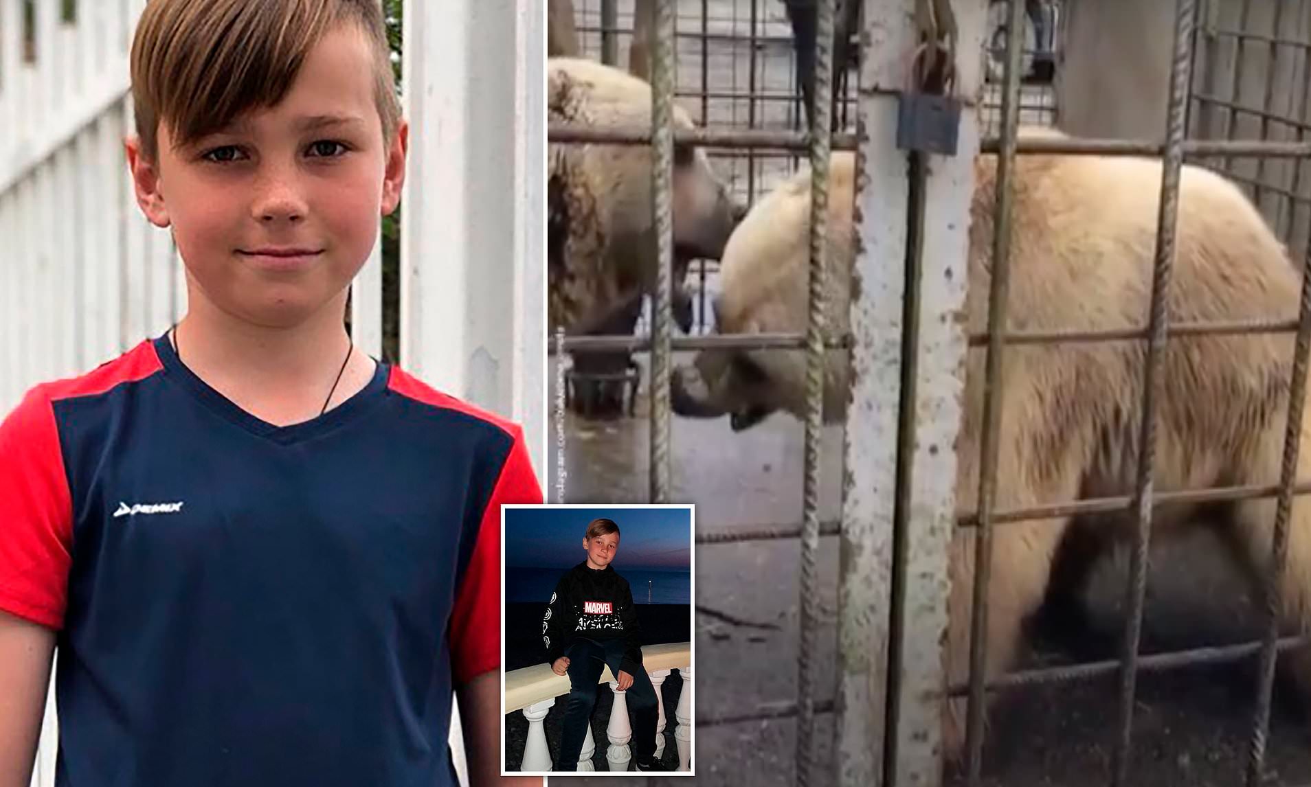 Φρικτός θάνατος για 11χρονο στη Ρωσία: Τον κατασπάραξαν αρκούδες