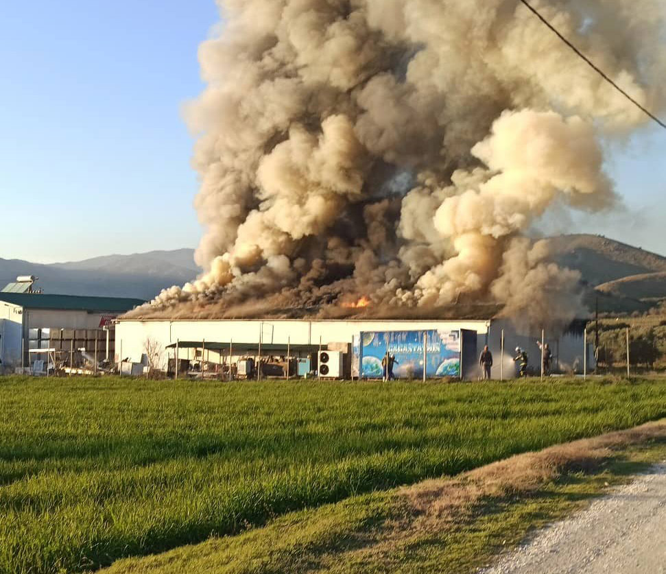 Τρίκαλα: Μεγάλες ζημιές από φωτιά στο εργοστάσιο «Υφαντής» (pics)
