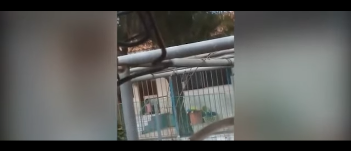 Απίστευτο: Νηπιαγωγός στη Χαλκίδα έβγαλε στο κρύο 4χρονη -Bίντεο που σοκάρει (vid)