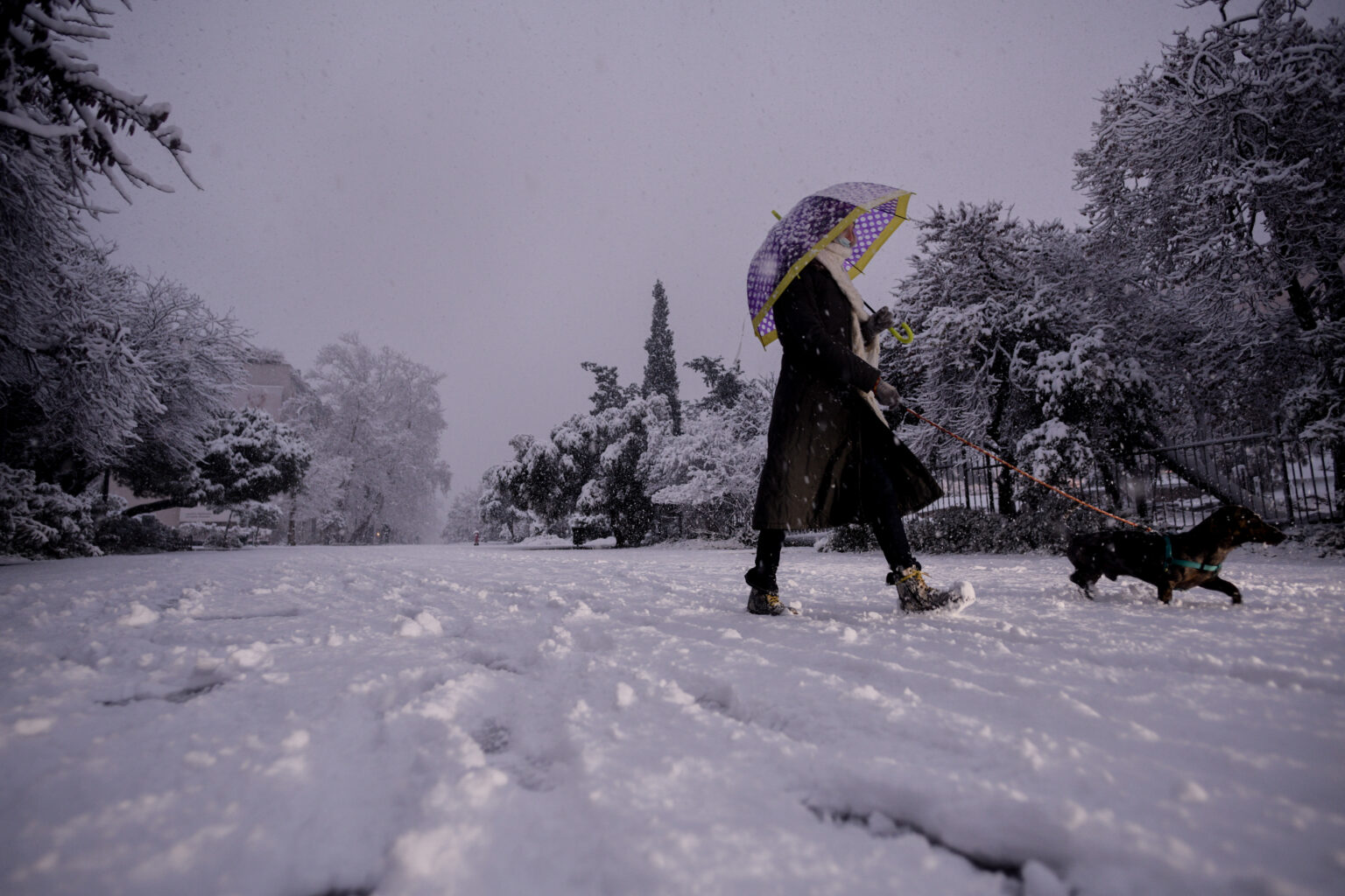 Καιρός 25ης Μαρτίου: Χιόνια στα βόρεια προάστια στην Αττική, προβλέπει ο Καλλιάνος