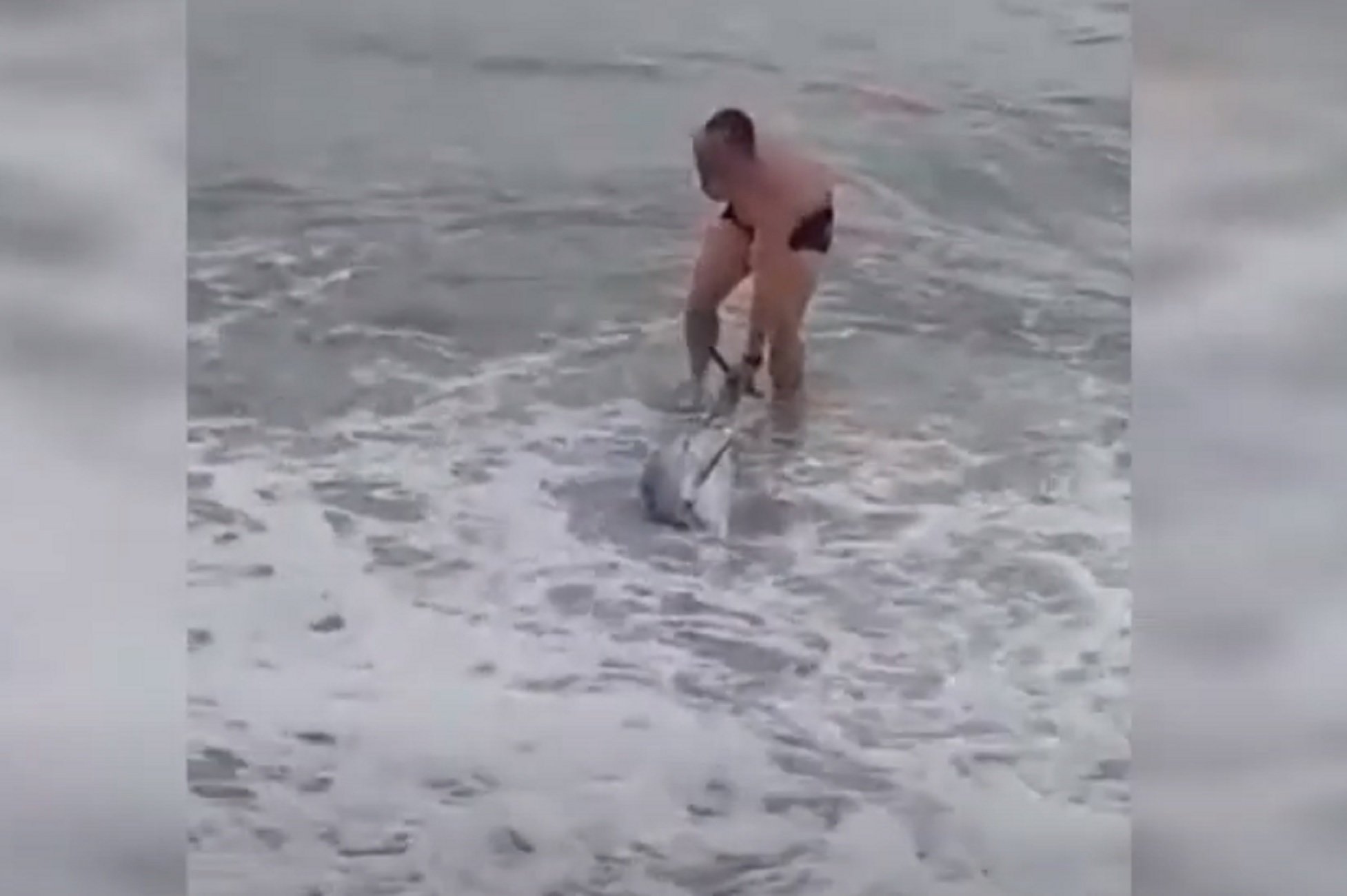 Καβάλα: Δελφίνι παλεύει να παραμείνει στη θάλασσα! Βίντεο της δραματικής διάσωσης