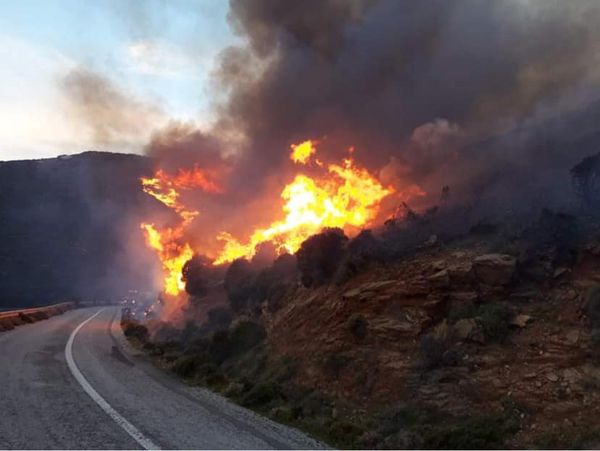 Φωτιά στην Άνδρο: Δύο οικισμοί εκκενώθηκαν – Ακόμα δύο σε ετοιμότητα (vid&pic)