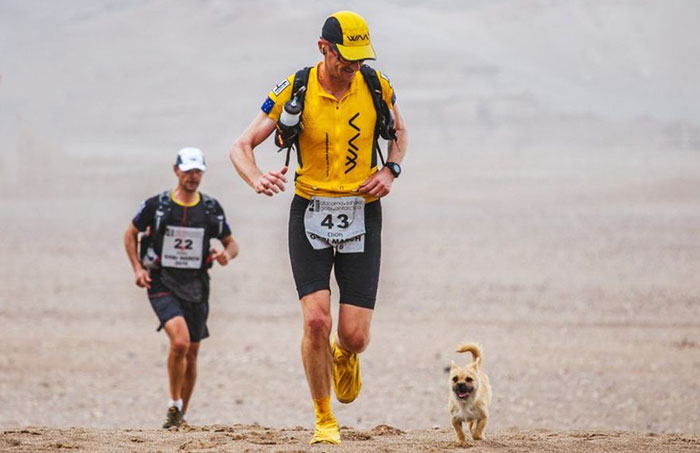 Αδέσποτο σκυλί μπαίνει σε αγώνα 250 χιλιομέτρων και τερματίζει με καινούργιο μπαμπά
