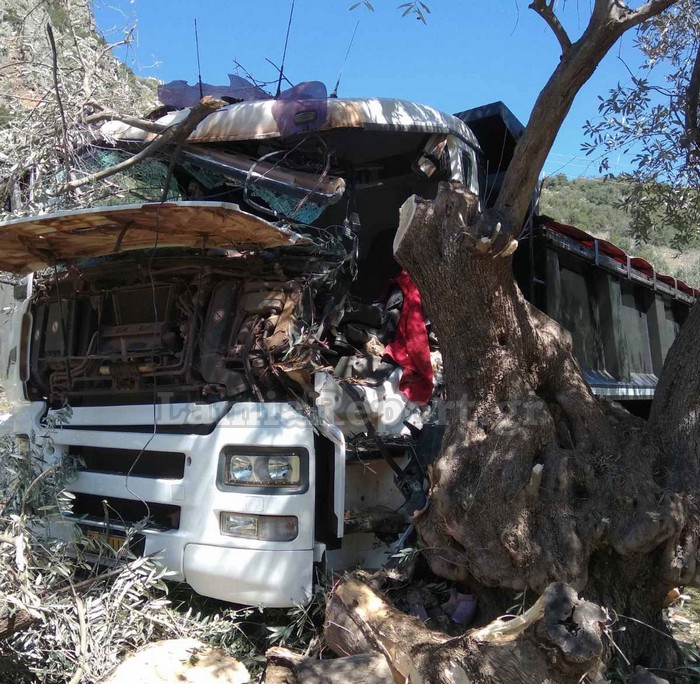 Φωκίδα: Νεκρός 31χρονος σε τροχαίο – Το φορτηγό του «καρφώθηκε» σε ελιά (pics)