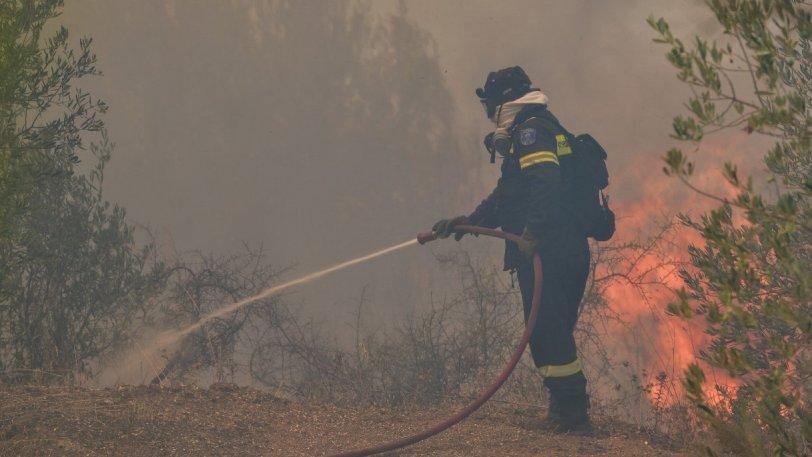 Φωτιά: 46 δασικές πυρκαγιές το τελευταίο 24ωρο σε όλη τη χώρα