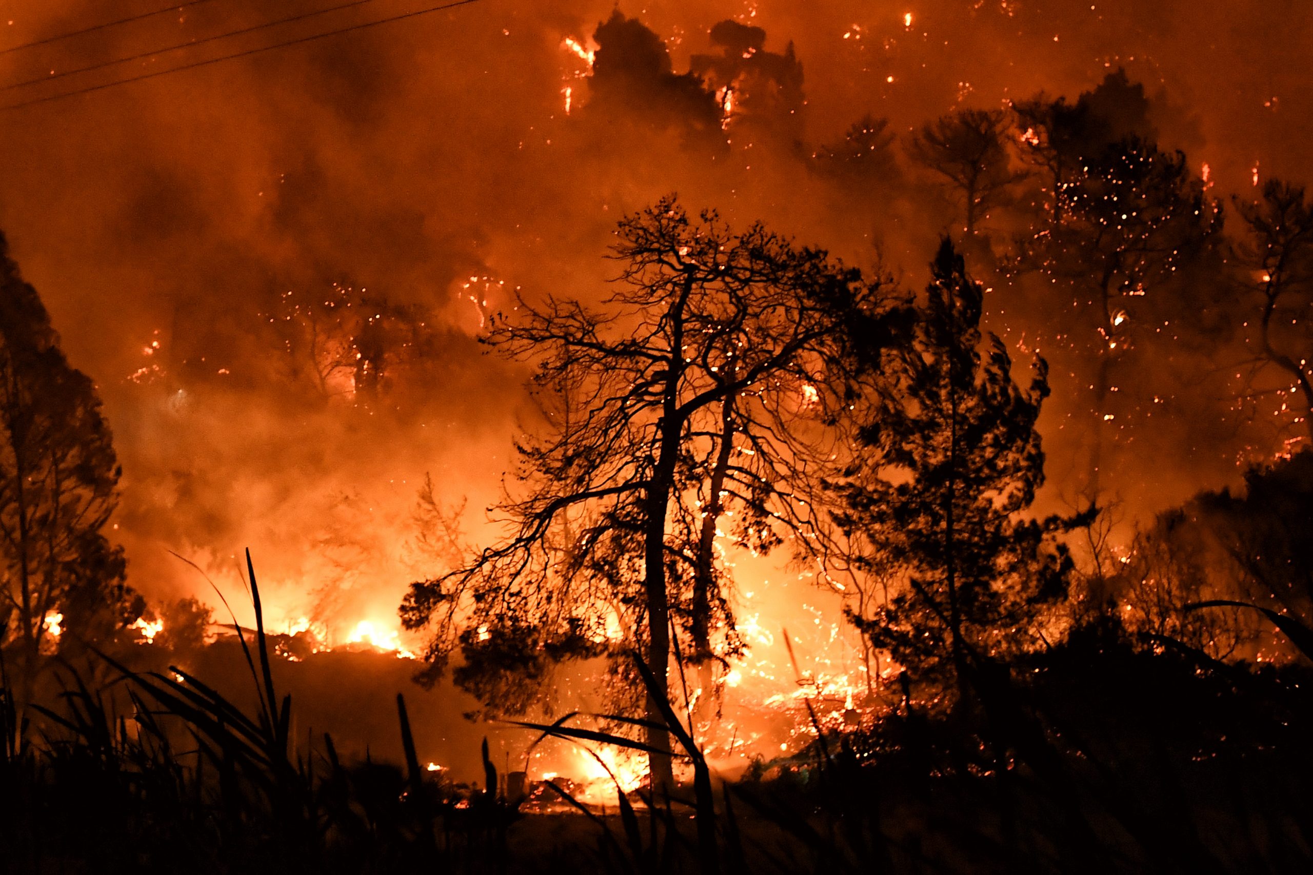 Meteo για φωτιές: Πάνω από 1.000.000 στρέμματα οι καμένες εκτάσεις στην Ελλάδα!