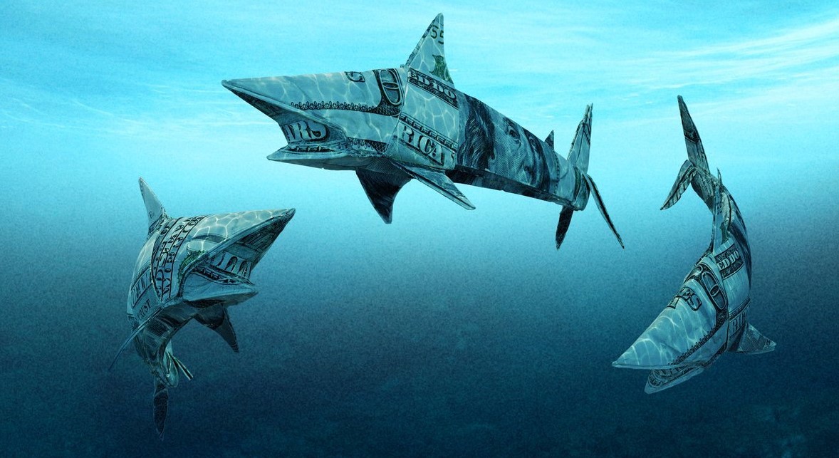 Ριάλιτι με «καρχαρίες» συζητούν Αντέννα και Σάκης Τανιμανίδης