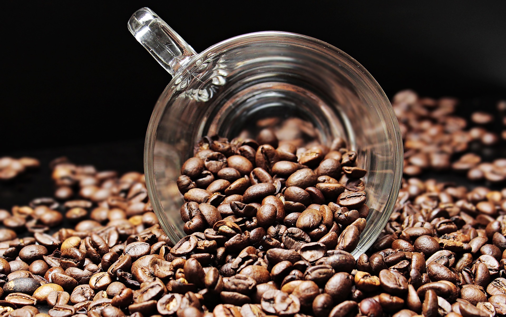 SOS για τον καφέ arabica