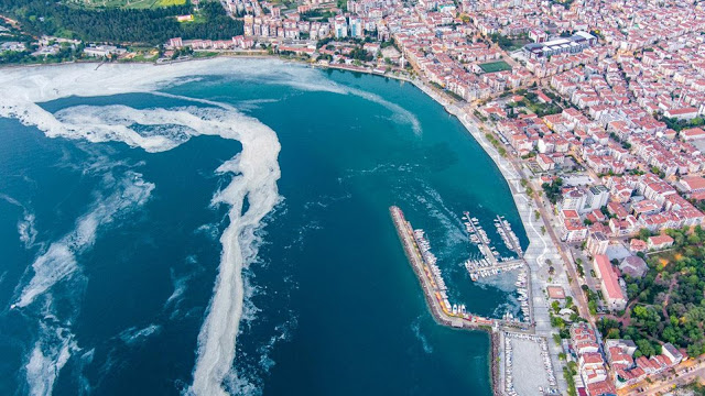 Τουρκία: Περίεργη «γλίτσα» απειλεί τη θάλασσα του Μαρμαρά(vid)