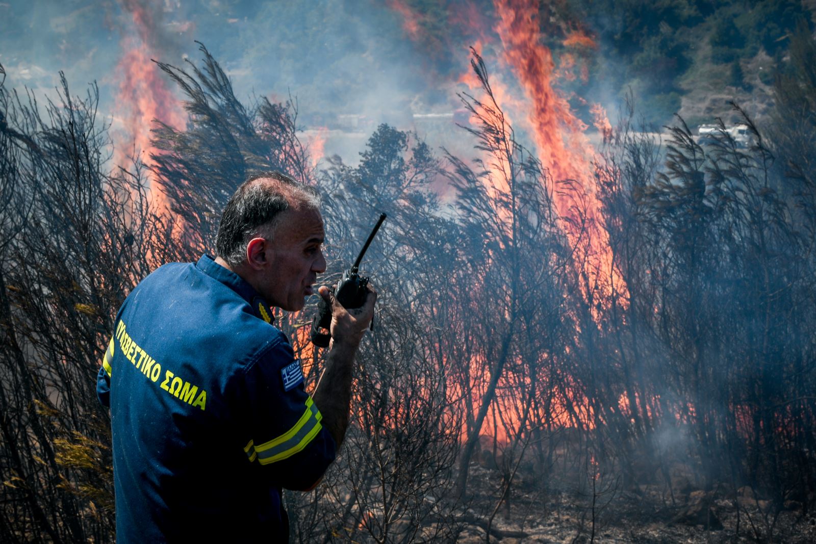Φωτιά τώρα Κόρινθος: Συνελήφθη ένας άνδρας για την πυρκαγιά στο Καλέντζι Κορινθίας