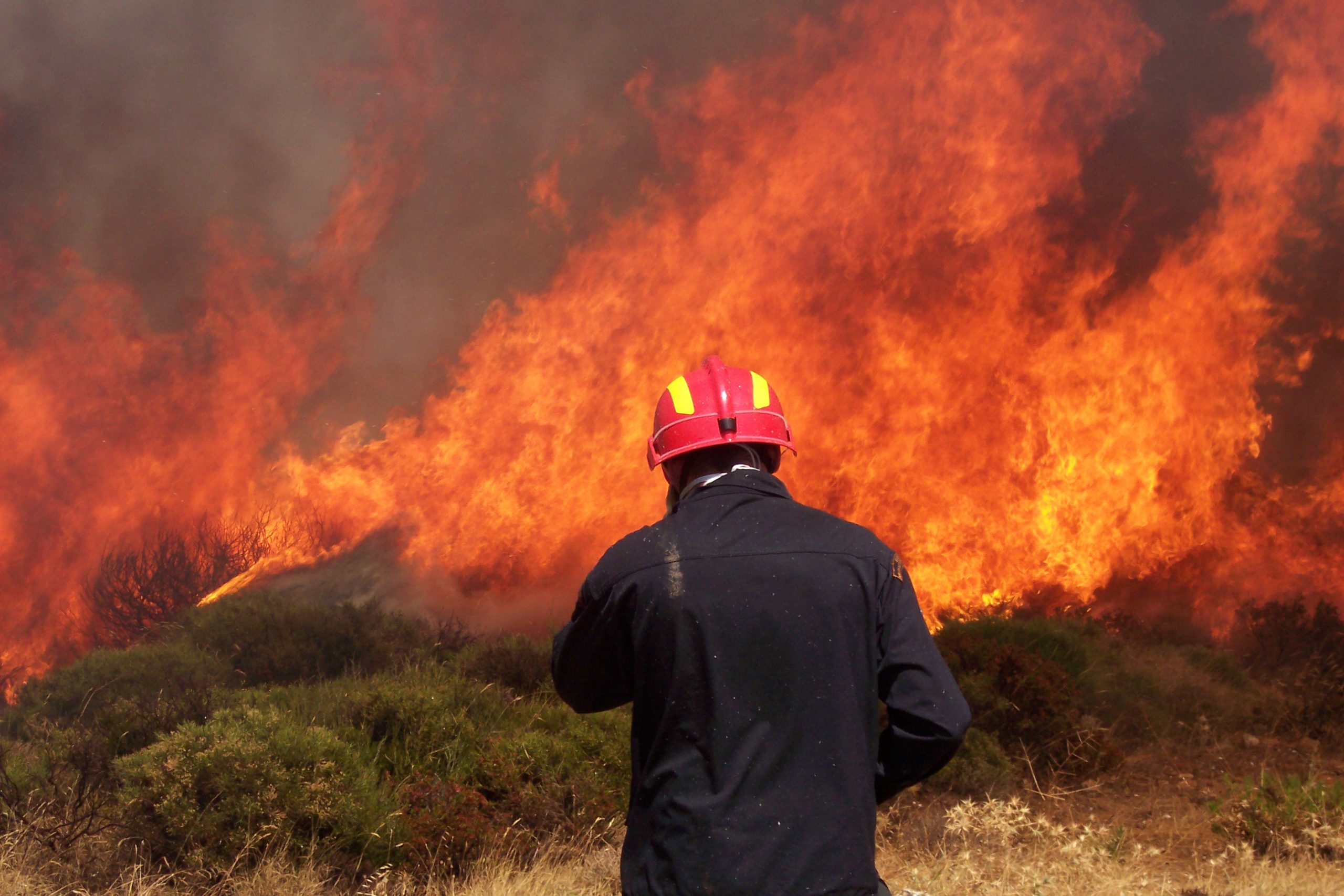 Φωτιά στη Θεσσαλονίκη: Δύο πυροσβέστες λιποθύμησαν κατά τη διάρκεια της κατάσβεσης της πυρκαγιάς