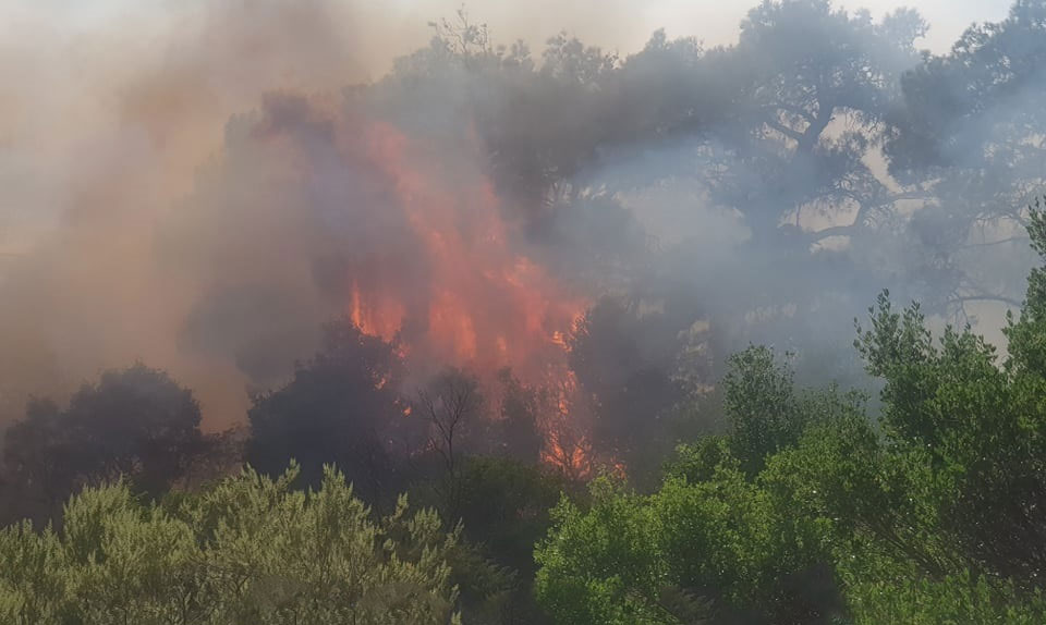 Φωτιά τώρα στη Θεσσαλονίκη: Πυρκαγιές σε Λητή και Ευκαρπία