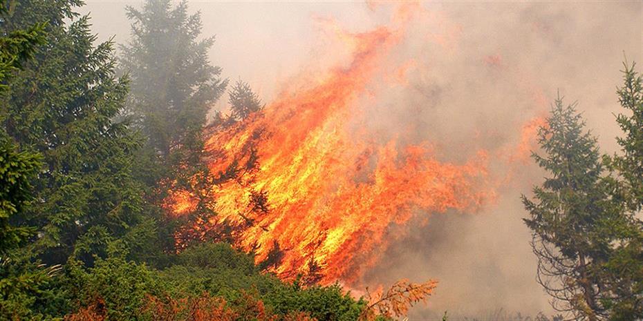Φωτιά τώρα στην Ηλεία: Μεγάλη αναζωπύρωση στην Νεμούτα – Αγώνας να περιοριστεί η φωτιά στα Βίλλια