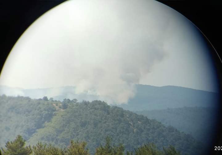 Φωτιά τώρα στο Σουφλί: Πυρκαγιά σε δασική έκταση στην περιοχή Κοτρωνιά (pics)