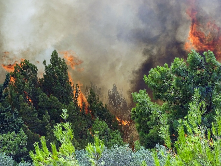 Φωτιά τώρα Ρόδος: Εκτεταμένες αναζωπυρώσεις στα μέτωπα της πυρκαγιάς