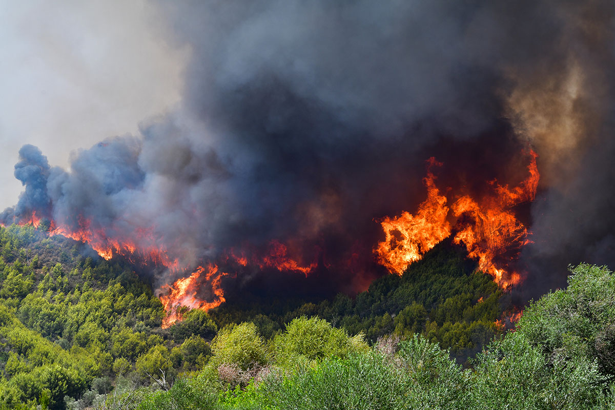 Ακραίος κίνδυνος πυρκαγιάς την Πέμπτη σε επτά περιφέρειες