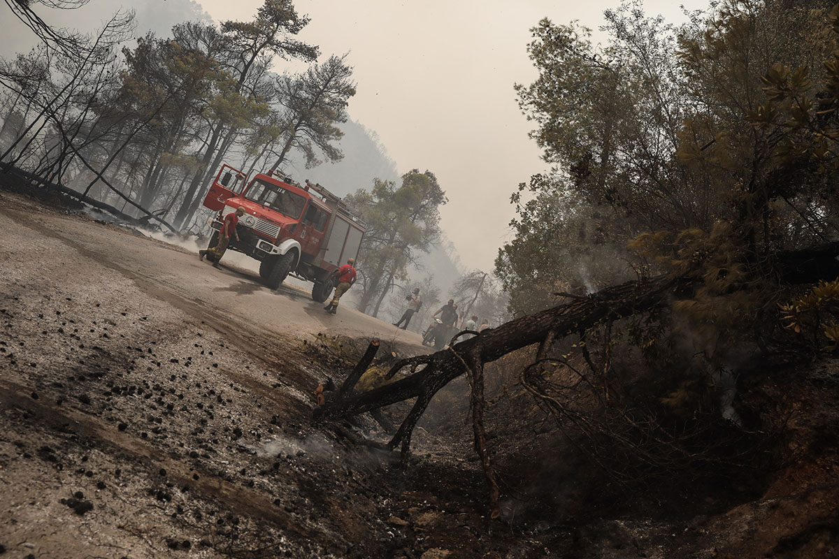Φωτιά τώρα Εύβοια – Λέκκας: 300.000 στρέμματα δάσους έχουν καταστραφεί ολοσχερώς