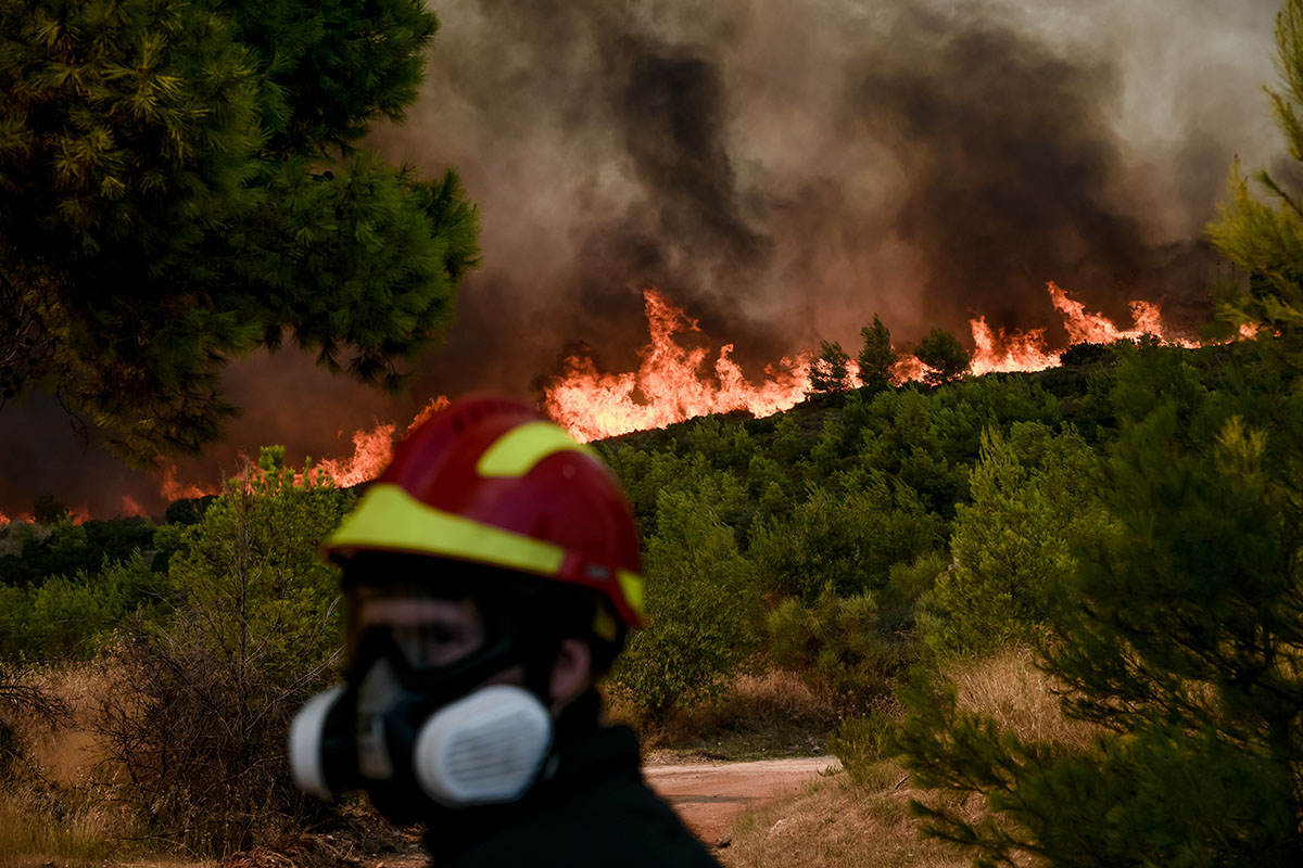 Φωτιά τώρα στην Εύβοια: Δημοτικός σύμβουλος προέβλεπε ότι θα την κάψουν για τις ανεμογεννήτριες δέκα μέρες πριν(vid)