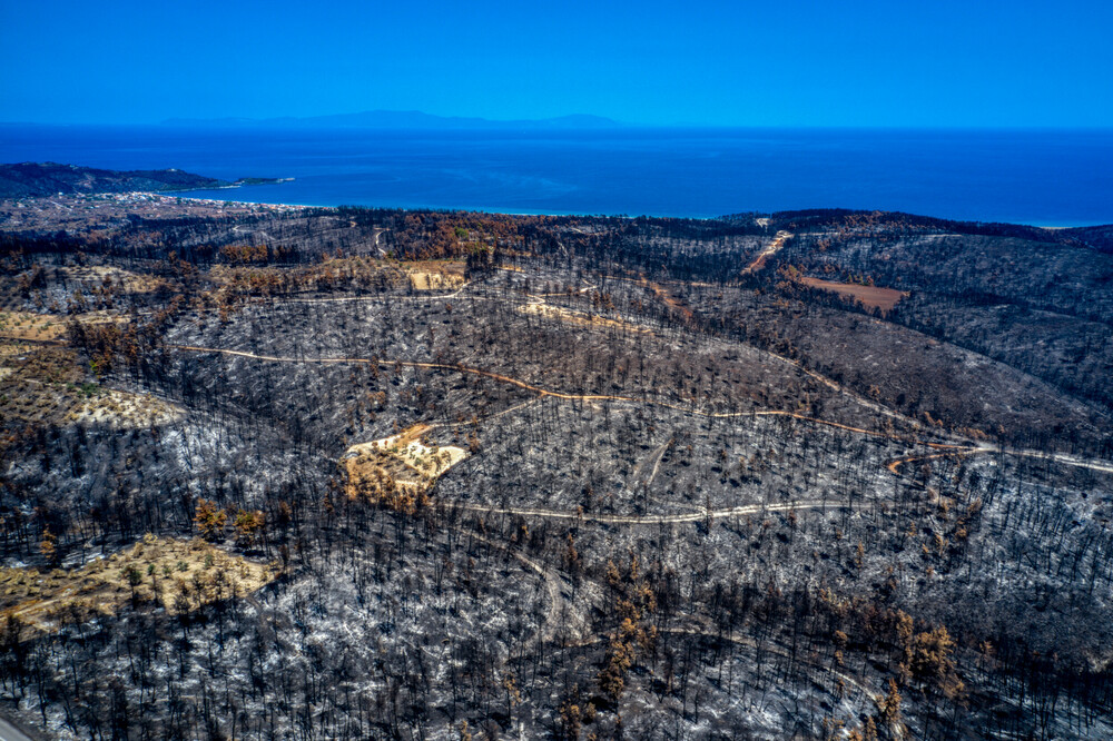 Η απόλυτη καταστροφή της Βόρειας Εύβοιας σε 16 εναέριες φωτογραφίες