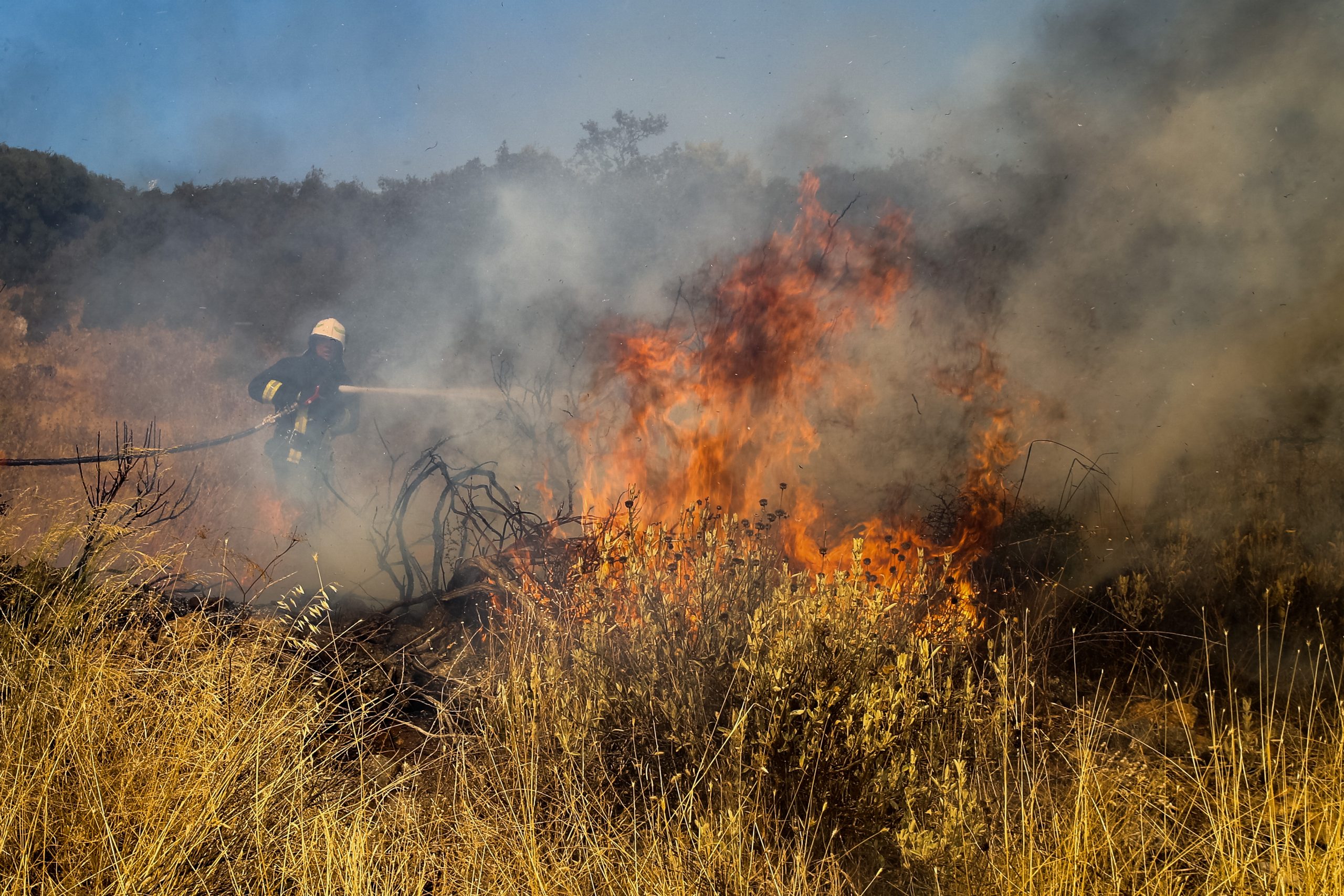 Φωτιά στα Μέγαρα: Μήνυμα 112 για εκκένωση του οικισμού Παπαγιαννέικα