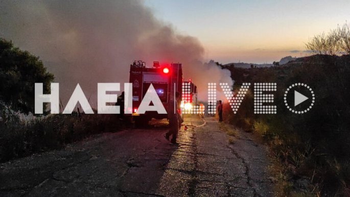 Φωτιά τώρα στην Ηλεία: Ολονύχτια μάχη με τις φλόγες – SMS από το 112 (vid)