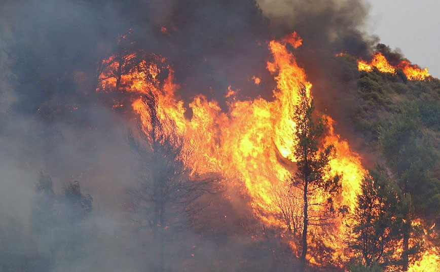 Φωτιά τώρα στα Βίλια: Στις παρυφές του Κιθαιρώνα πλησιάζει το μέτωπο