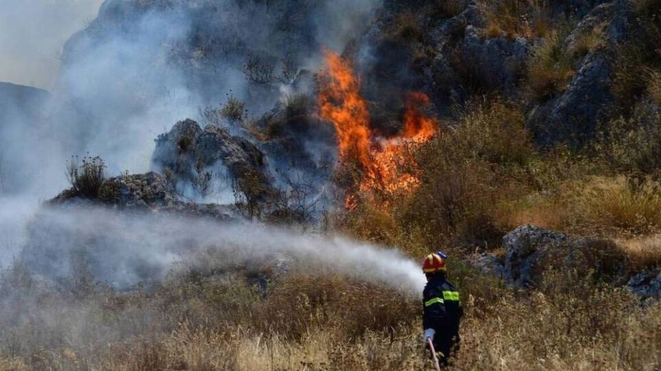 Φωτιά τώρα στο Άργος: Πυρκαγιά σε αγροτική έκταση στο Κουτσοπόδι