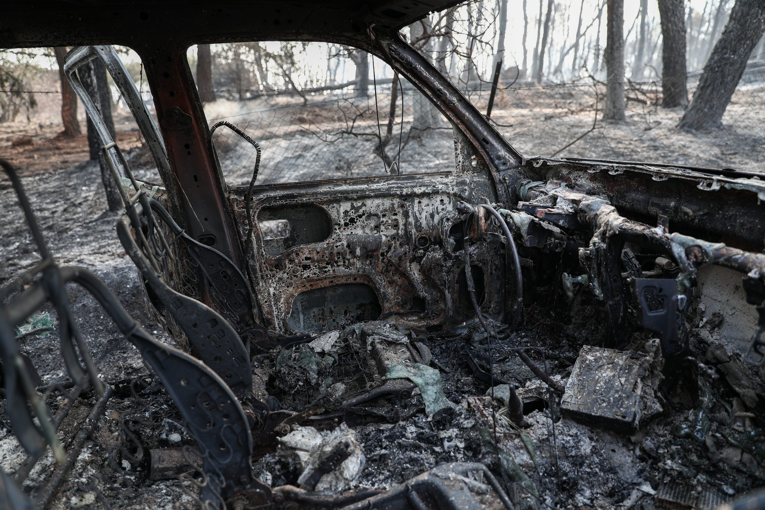Φωτιά στη Βαρυμπόμπη: Αποκαρδιωτικές εικόνες στα καμένα – Τίποτα δεν έμεινε όρθιο