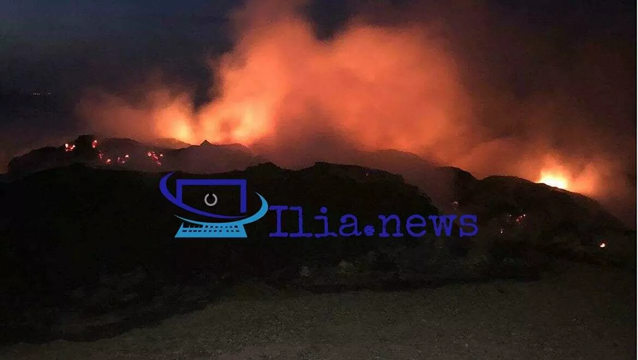 Φωτιά τώρα στην Ηλεία: Ολονύχτια μάχη με τις φλόγες 