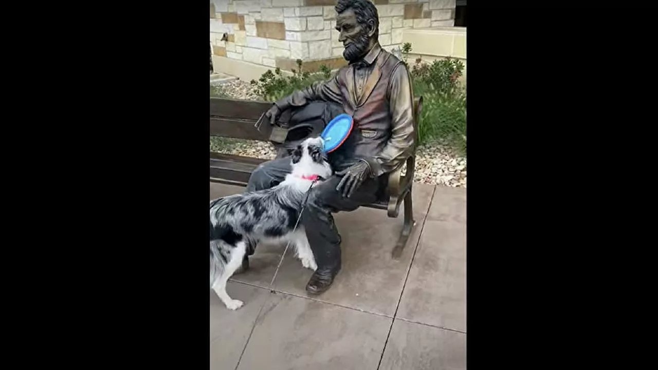 Απίθανη σκυλίτσα ζητάει να παίξει φρίσμπι από ένα άγαλμα