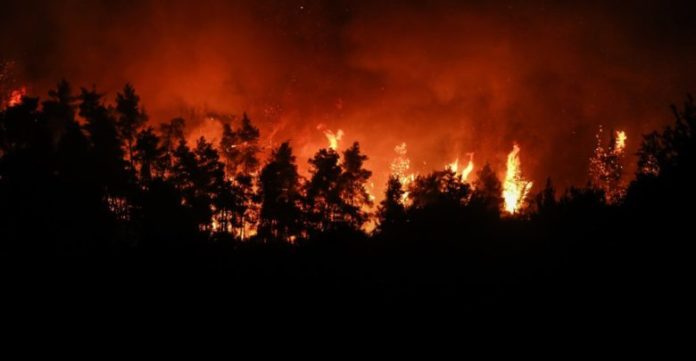 Meteo: Αυξήθηκαν κατά 750% οι δασικές πυρκαγιές το πρώτο τρίμηνο του 2022