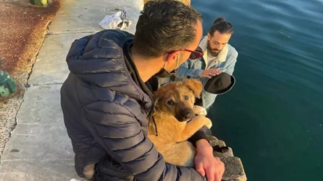 Θεσσαλονίκη: Βούτηξε στον Θερμαϊκό για να σώσει σκυλάκι (vid)