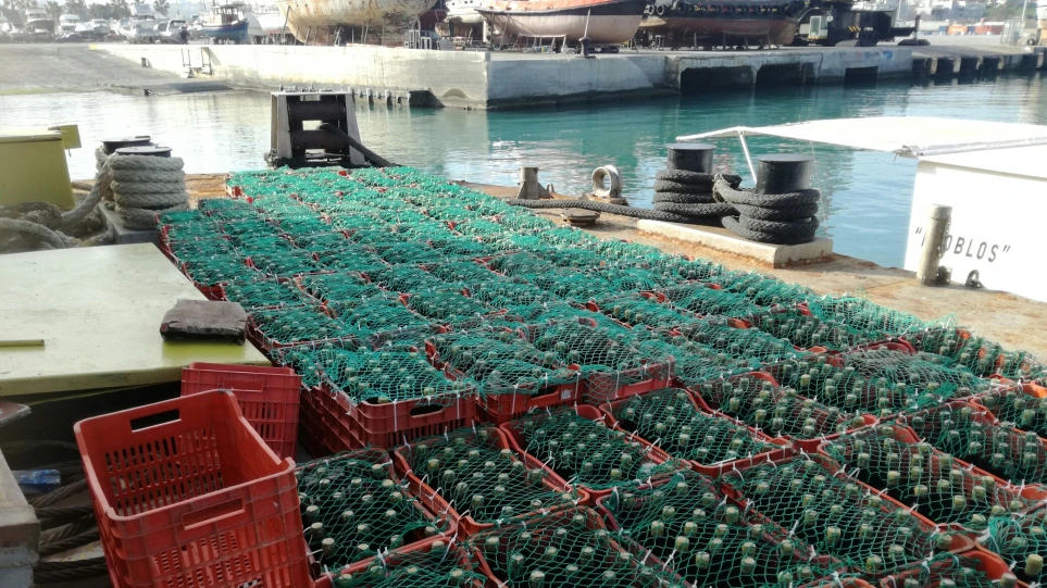 Ηράκλειο: Στον… βυθό της θάλασσας 5.000 φιάλες κρασιού!