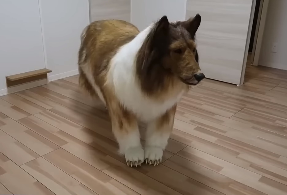 Πλήρωσε 14.000 ευρώ για να αγοράσει… ρεαλιστική στολή σκύλου! «Ονειρευόταν να γίνει ζώο» (video)