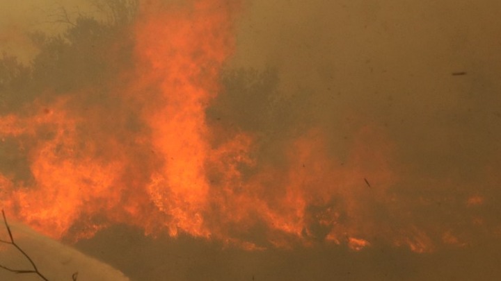Φωτιά τώρα στην Πεντέλη: Στο μέτωπο 420 πυροσβέστες, Στρατός και Αστυνομία