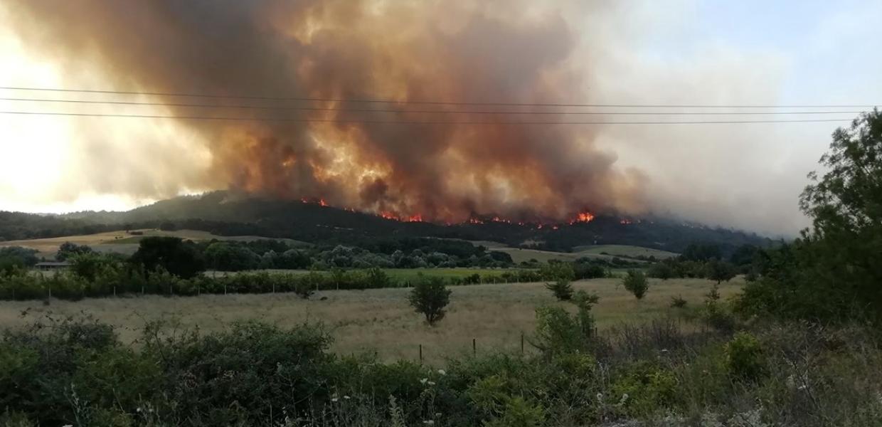 Φωτιά στον Έβρο: Kάηκε τμήμα του μικρού πυρήνα του δάσους της Δαδιάς – Μήνυμα του 112 στη Λευκίμμη