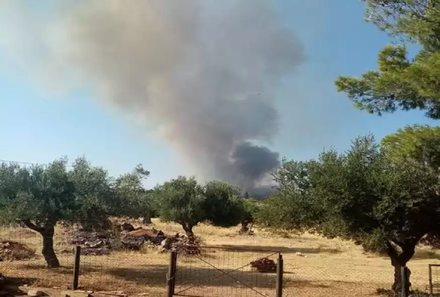 Φωτιά τώρα στη Μάνδρα – Ισχυρές δυνάμεις της Πυροσβεστικής στο σημείο