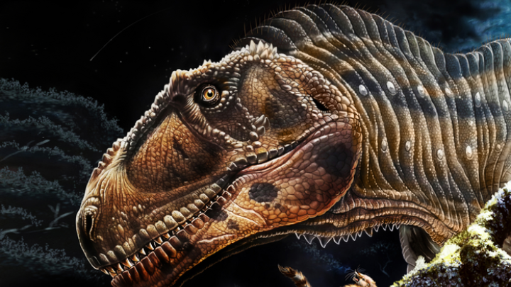 Αργεντινή: Ανακαλύφθηκε νέος γιγάντιος δεινόσαυρος με μικρά χέρια όπως ο Τυραννόσαυρος Rex