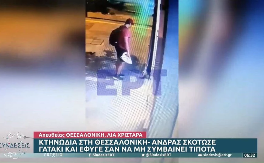 Θεσσαλονίκη: Βίντεο ντοκουμέντο για κτηνωδία  -Άνδρας πάτησε και σκότωσε γατάκι